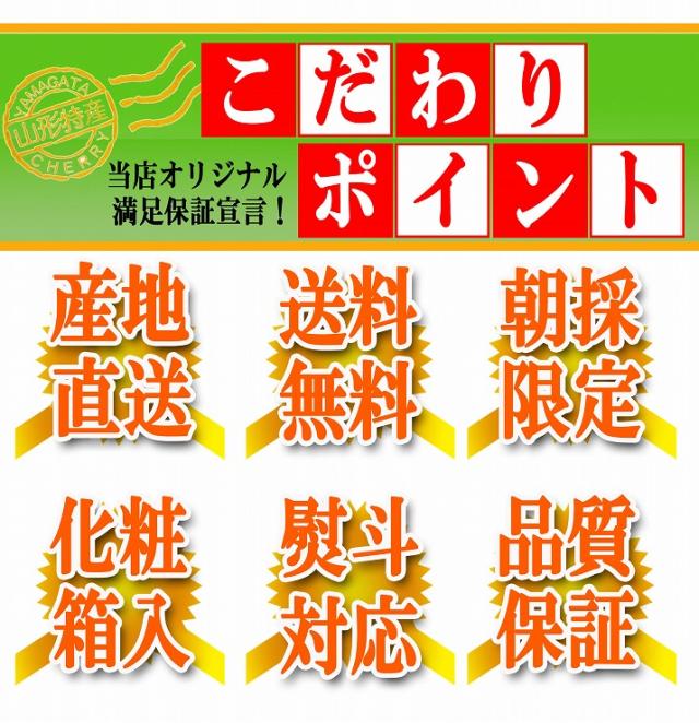 【2026年6月中旬発送 先行予約】 さくらんぼ 佐藤錦 特秀 2L玉 1kg(500g×2) 山形県産 産地直送 化粧箱入 プレゼント ギフト 品質保証 贈答品 のし グルメ お取り寄せ_7