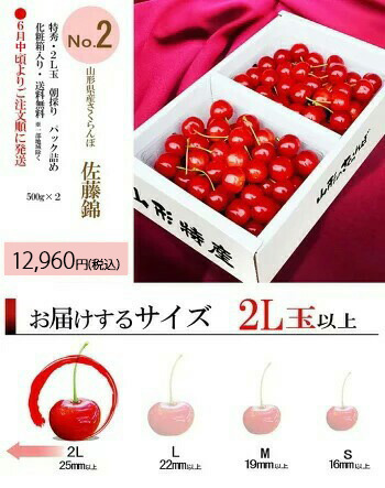 【2026年6月中旬発送 先行予約】 さくらんぼ 特秀 ２Ｌ 佐藤錦 贈答品 1kg（500g×2） 山形県 産地直送 なんと、名水百選の水を使って栽培！品質保障 佐藤錦 2Lサイズ 
