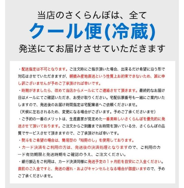 【2026年6月中旬発送 先行予約】 さくらんぼ 特秀 ２Ｌ 佐藤錦 贈答品 1kg（500g×2） 山形県 産地直送 なんと、名水百選の水を使って栽培！品質保障 佐藤錦 2Lサイズ 