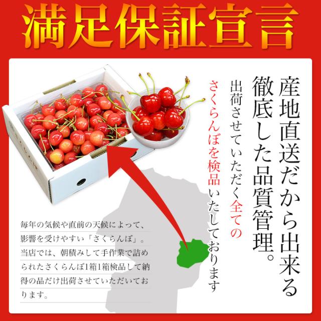 【2026年6月中旬発送 先行予約】 さくらんぼ 特秀 ２Ｌ 佐藤錦 贈答品 1kg（500g×2） 山形県 産地直送 なんと、名水百選の水を使って栽培！品質保障 佐藤錦 2Lサイズ 