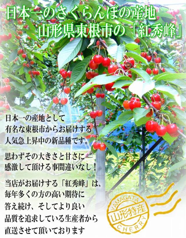 【2026年6月下旬送りとどける 先んずる取って置く】 さくらんぼ 紅秀峰 特秀 ２Ｌ玉 500g 鏡端っこ 円錐小体県産 出どころ直送 差し上げ物 差し上げる品として一般受けです かざり付ける箱入 貨物輸送無料