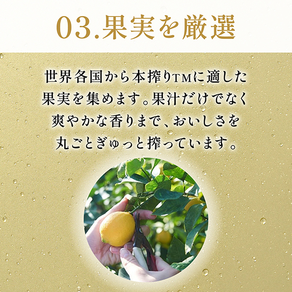 送料無料 キリン 本搾りチューハイ グレープフルーツ 350ml×3ケース/72本(072)『CSH』_4