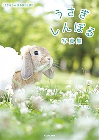 うさぎしんぼる写真集 うさぎしんぼる展 公認 うさぎの通販はau Pay マーケット コンプリートブックス