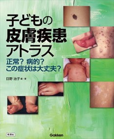 アイルランド・ゲール語辞典(中古品)