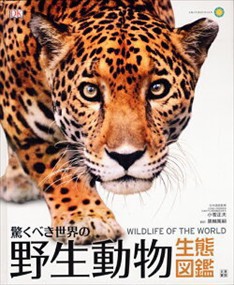 驚くべき世界の野生動物生態図鑑 ＷＩＬＤＬＩＦＥ　ＯＦ　ＴＨＥ　ＷＯＲＬＤ