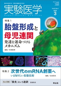実験医学　Ｖｏｌ．４３　Ｎｏ．４（２０２５　３） 生命を科学する明日の医療を切り拓く