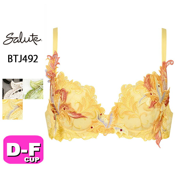 salute サルート 01G 01グループ セット IV D70 楽天市場】【30％OFF