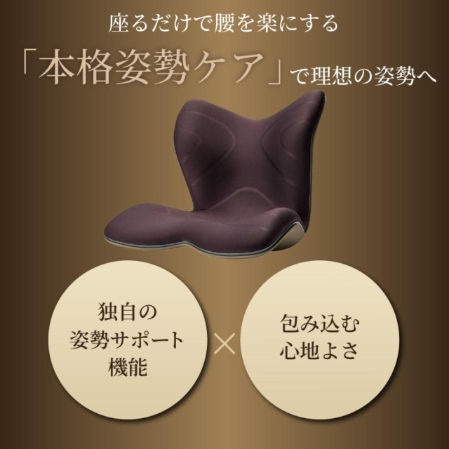 姿勢サポートチェア MTG スタイルプレミアム Style PREMIUM 2 正規品