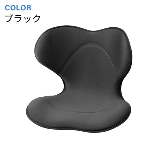 姿勢サポートチェア MTG スタイルスマート Style SMART 正規品 YS