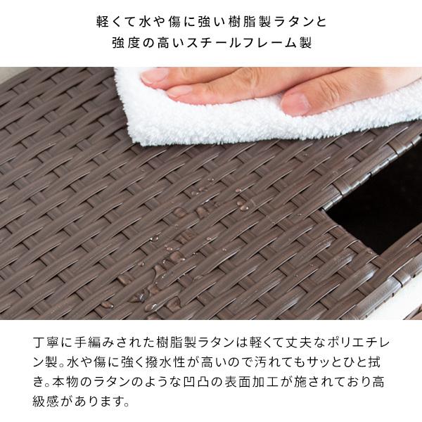 ランドリーボックス ランドリー収納 チェスト 衣類収納 RB-500 2段 分別 軽量 ラタン キャスター付き シンプル かわいい 簡単 宮武製作所 Diario ディアリオの通販は