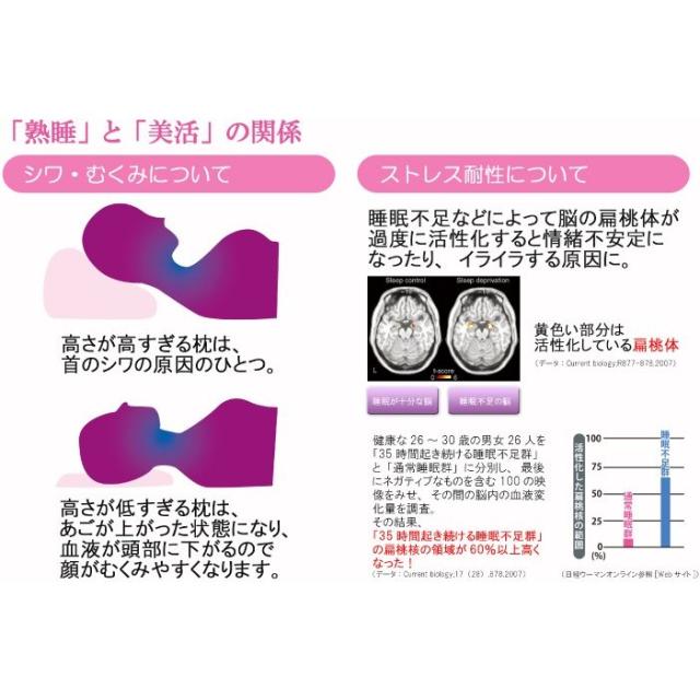 美品】睡眠の美習慣を追求したもっちり 日本製枕 MARIOTTE mocci