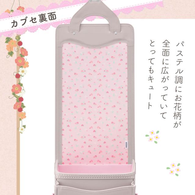 Fbr hw1010 Funai ブルーレイレコーダー FUNAI ブルーレイディスク