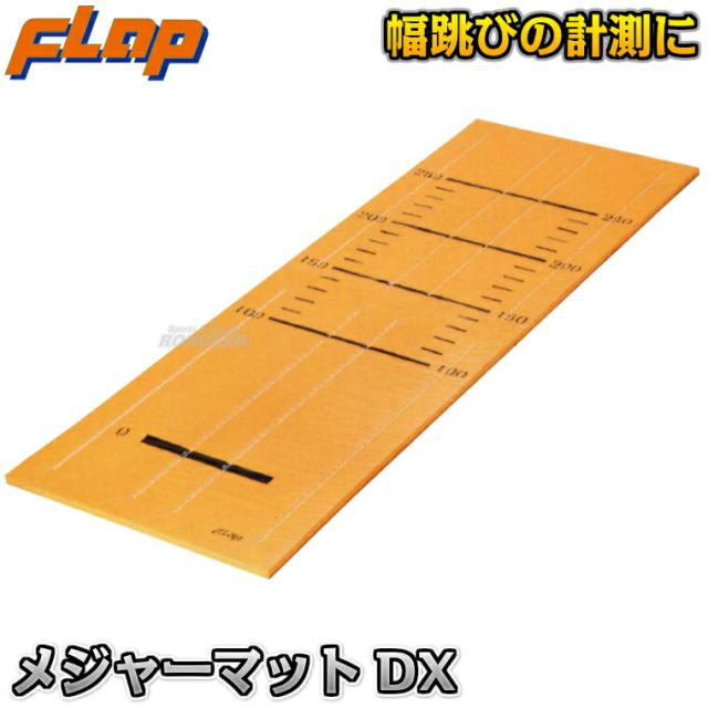 メジャーマット 2.5mDX F455   立ち幅跳び用メジャーシート 学校体育用計測機器 中條