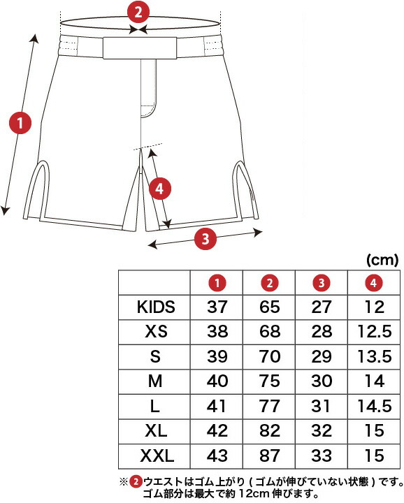 ALMA・アルマ テクノショーツ KIDS/XS/S/M/L/XL/XXL グリーン/パープル/レッド ALP4 ファイトショーツ バトルパンツ 格闘技パンツ 格闘技トランクス 格闘技ショーツ ファイトパンツ コンバットショーツ MMA 総合格闘技 ブラジリアン柔術