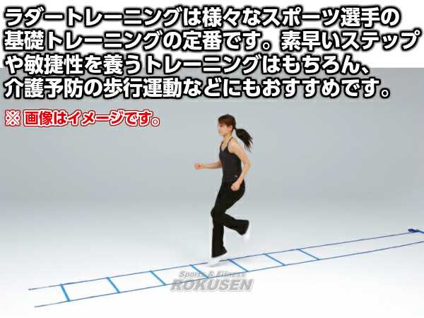 Toei Light トーエイライト スピードラダー6m固定式 G 1366 G1366 陸上競技 ラダートレーニング ジスタス Xystusの通販はau Pay マーケット ろくせん