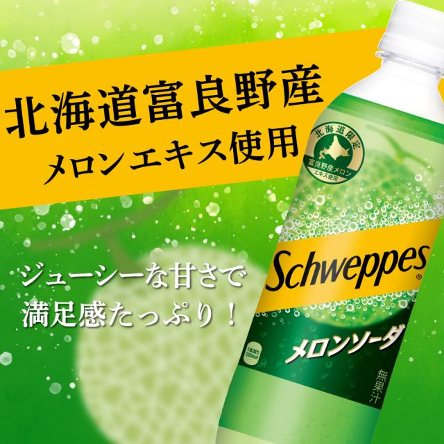 メロンソーダ　エイジングケアライト500グラム二袋試供品３０グラム１０個 POP サントリー メロンソーダ 600ml ペットボトル 24本入 炭酸