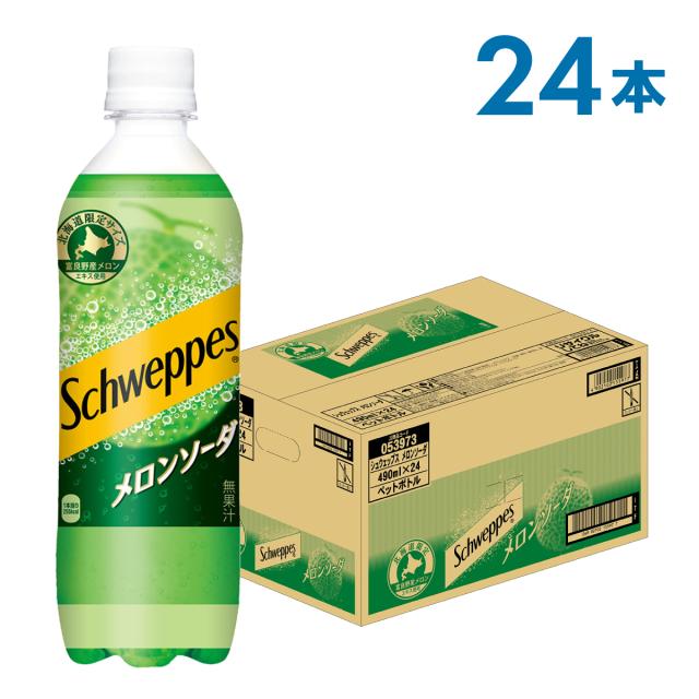 シュウェップス メロンソーダ 490mlPET×24本の通販はau PAY