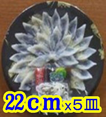 【山口県】【下関市彦島】【業務用・冷凍】【山賀】国産とらふぐ刺し身２２ｃｍＸ５パック