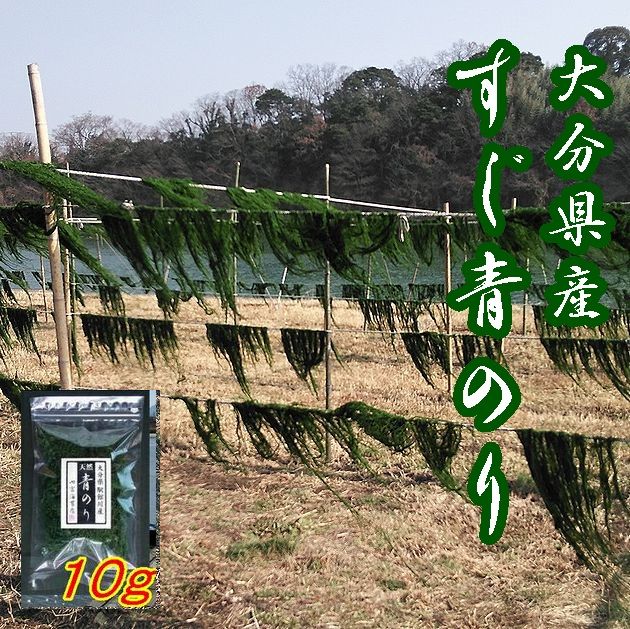【送料無料】【希少】大分県産　駅館川（やっかんがわ）天然すじ青のり原藻１０ｇ【メール便】