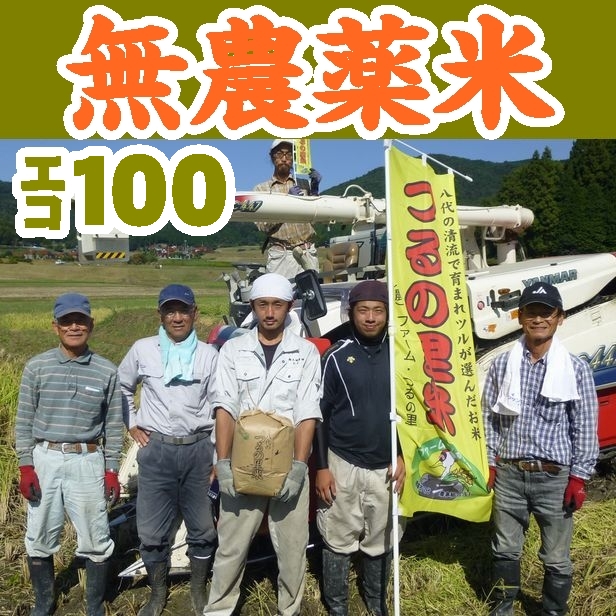 【山口県】【周南市八代】【生産者直詰】【エコ１００認証米】【無農薬栽培】【冬期湛水米】つるの里米こしひかり（精米）１０ｋｇ(10000