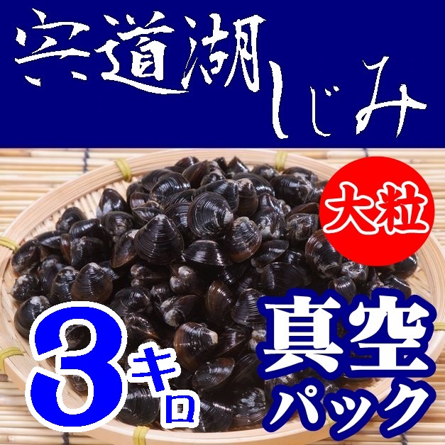【送料無料】【砂抜き】宍道湖産　朝獲れしじみ（真空パック）大粒３kg※別途送料、東北500円、北海道1000円・沖縄、離島不可※ 【島根県