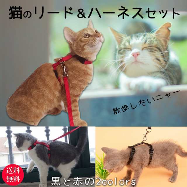 猫 リード ハーネス 猫用品 首輪 一体型 おしゃれ 散歩 リード ハーネスセット ねこ ネコの通販はau Pay マーケット Pono Days Store