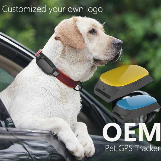 猫犬追跡装置 Gps 防水 スマート リアルタイム ロケータートラッカー無料プラットフォームサービスの通販はau Pay マーケット 吉田里山研究所 Au Pay マーケット店