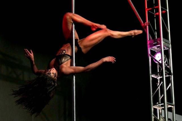 ポール ポールダンス用 直径45mm 自宅設置 突っ張り 調節 練習 トレーニングの通販はau Pay マーケット 吉田里山研究所 Au Pay マーケット店