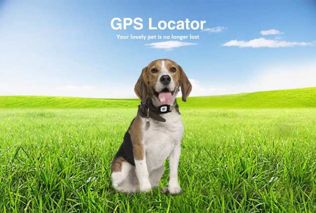 ミニgpsトラッカー ペット 犬猫 迷子 首輪 追跡 Bluetooth ワイヤレス Android Iosの通販はau Pay マーケット 吉田里山研究所 Au Pay マーケット店