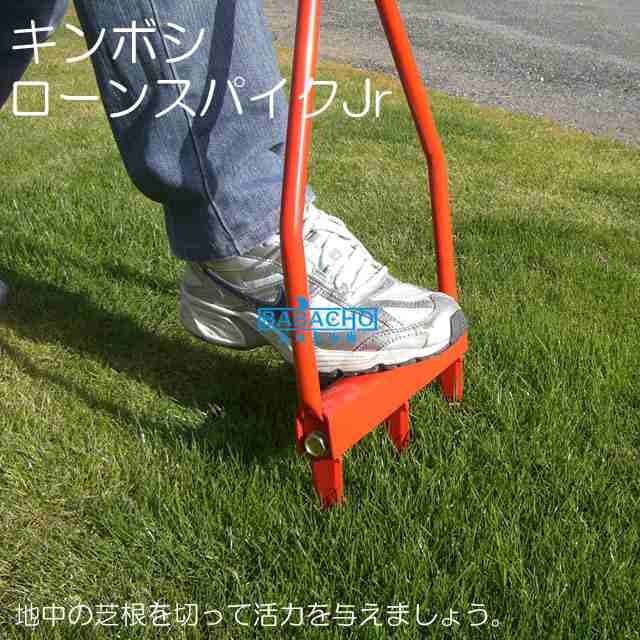 ☆送料無料☆ローンスパイクJr＆ローンパンチJr＜お得な芝生