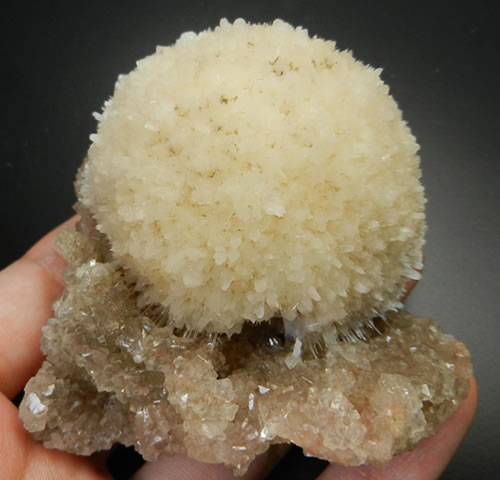 ＊＊☆プロフ必読☆＊＊　はち。＊.・*¨ 様　凄くレア　高品質　スコレサイト Z/X -Zillions of enemy X- アイドル♪スプラッシュフェスタ | TCG