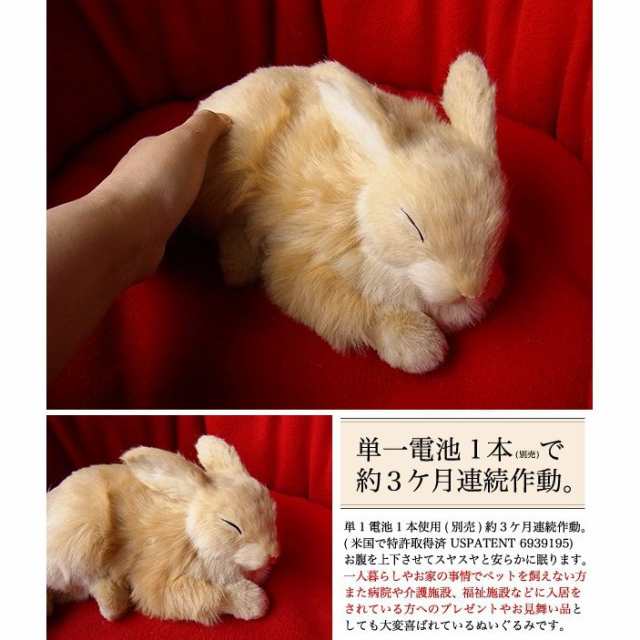 犬 ぬいぐるみ リアル 本物そっくりに眠るぬいぐるみ パーフェクトペット ウサギ ベージュ の通販はau Wowma ニニアンドキノ