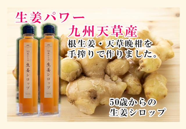 【父の日】 熊本県 天草市 食の天草にじ50歳からの生姜シロップ 5倍希釈 3本天草産の天草晩柑 根生姜 純正蜂蜜使用 送料無料【飲料 野菜 ジュース ギフト】_2