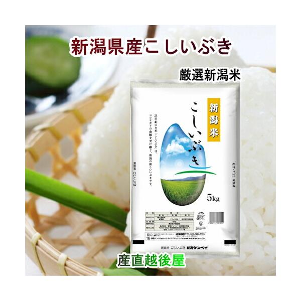 令和6年度産 新潟県産新之助 白米 20kg