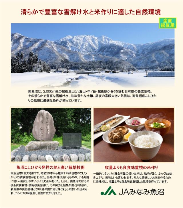 令和７年産 南魚沼産 コシヒカリ 10kg 新潟県 南魚沼 JAみなみ魚沼農協 特Ａ地区 特別栽培米 こしひかり 送料無料【お米 ギフト グルメ】_4
