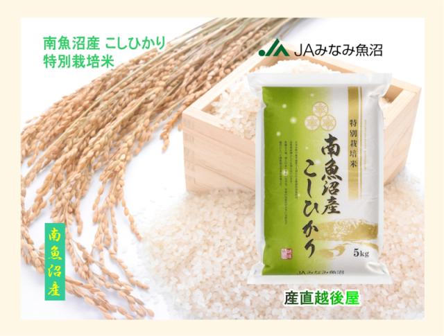 送料無料 玄米 減農薬 新潟県 魚沼産 コシヒカリ お米 30キロ 令和6年 送料無料 玄米 減農薬 新潟県 魚沼産 コシヒカリ お米 20キロ 新米