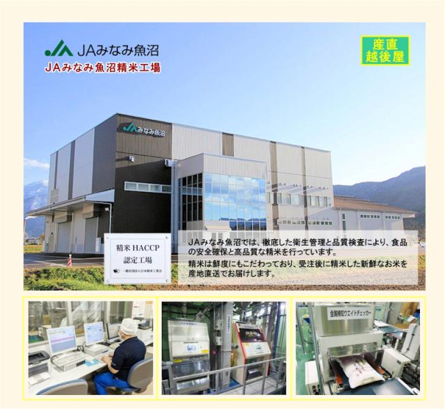 令和7年産 南魚沼産 コシヒカリ 30kg玄米 新潟県 南魚沼 JAみなみ魚沼