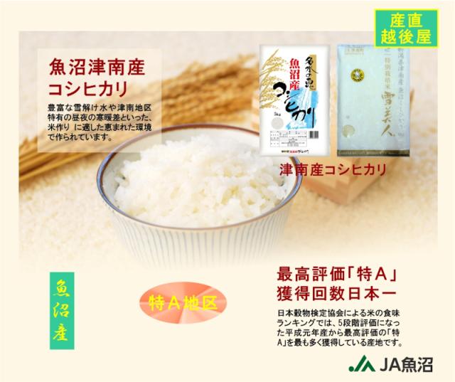 7年魚沼産コシヒカリ白米30kg 令和7年産 こしひかり 魚沼産 新潟県 特A地区 中魚沼 JA魚沼農協