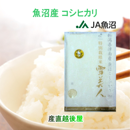 令和７年産 こしひかり 魚沼産 新潟県 特Ａ地区 中魚沼 JA魚沼農協 魚沼産 コシヒカリ 5kg 玄米 雪美人 特別栽培米 送料無料【お米 ギフト グルメ】