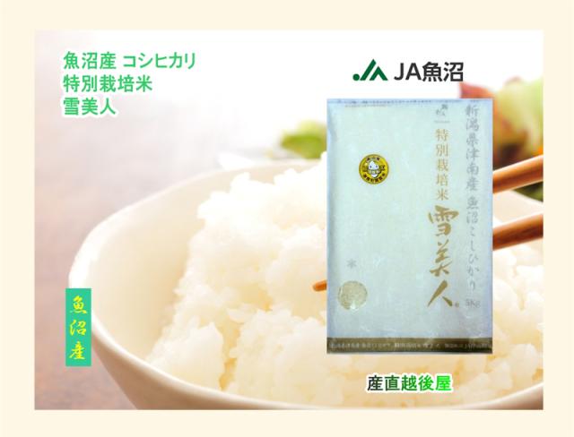 令和７年産 こしひかり 魚沼産 新潟県 特Ａ地区 中魚沼 JA魚沼農協 魚沼産 コシヒカリ 5kg 玄米 雪美人 特別栽培米 送料無料【お米 ギフト グルメ】