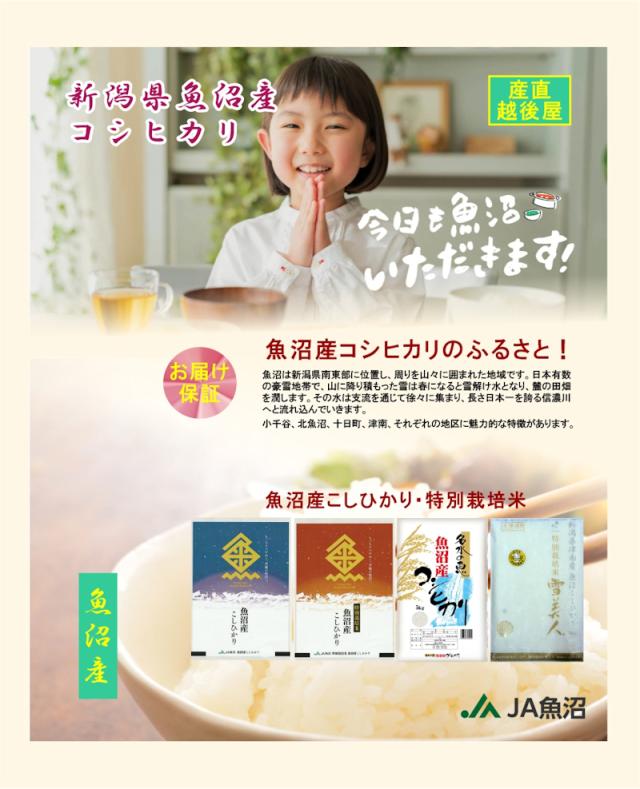令和７年産 こしひかり 魚沼産 新潟県 特Ａ地区 中魚沼 JA魚沼農協 魚沼産 コシヒカリ 5kg 玄米 雪美人 特別栽培米 送料無料【お米 ギフト グルメ】