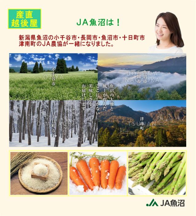 令和７年産 こしひかり 魚沼産 新潟県 特Ａ地区 中魚沼 JA魚沼農協 魚沼産 コシヒカリ 5kg 玄米 雪美人 特別栽培米 送料無料【お米 ギフト グルメ】