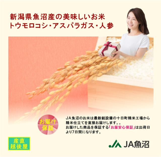 令和７年産 こしひかり 魚沼産 新潟県 特Ａ地区 中魚沼 JA魚沼農協 魚沼産 コシヒカリ 5kg 玄米 雪美人 特別栽培米 送料無料【お米 ギフト グルメ】