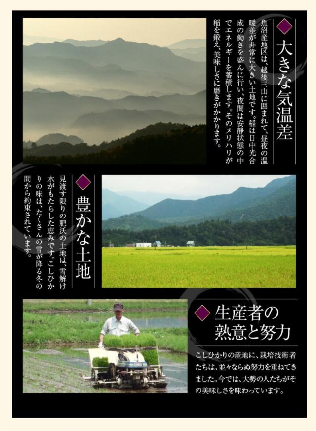 令和７年産 こしひかり 魚沼産 新潟県 特Ａ地区 中魚沼 JA魚沼農協 魚沼産 コシヒカリ 5kg 玄米 雪美人 特別栽培米 送料無料【お米 ギフト グルメ】