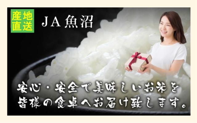 令和７年産 こしひかり 魚沼産 新潟県 特Ａ地区 中魚沼 JA魚沼農協 魚沼産 コシヒカリ 5kg 玄米 雪美人 特別栽培米 送料無料【お米 ギフト グルメ】