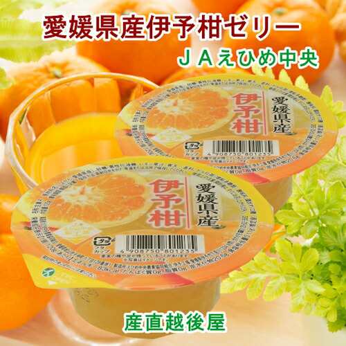 愛媛県の農協 JAえひめ中央 愛媛の果実 伊予柑カップゼリー 伊予柑ゼリー 120g 30個 送料無料【フルーツ 柑橘類 ゼリー ギフト】の通販は