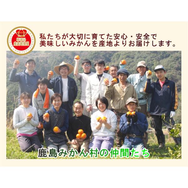 佐賀県 鹿島市 有機みかん佐藤農場 有機転換中マイヤーレモン 5kg 採りたてを農園から産地直送 送料無料【ミカン 果実 ギフトグルメ 無農薬栽培】の通販は