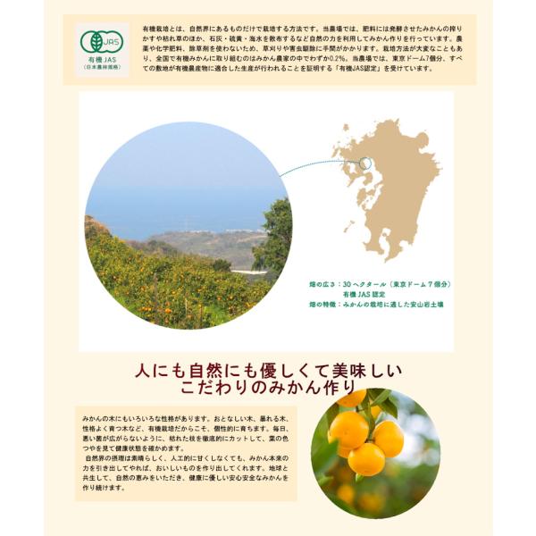佐賀県 鹿島市 有機みかん佐藤農場 有機転換中マイヤーレモン 5kg 採りたてを農園から産地直送 送料無料【ミカン 果実 ギフトグルメ 無農薬栽培】の通販は