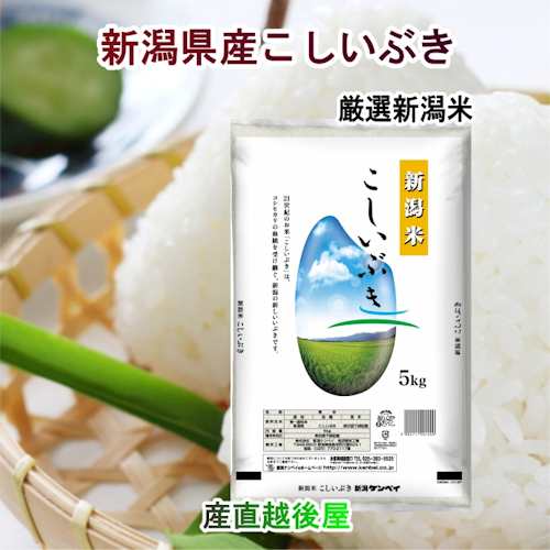 令和6年産 新米 新潟県産 新潟県産 新潟米 こしいぶき30kg ＪＡ農協米 新潟ケンベイ産 送料無料【お中元 米 こしひかり ギフト グルメ】