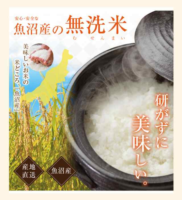 １kg　マーケット－通販サイト　au　令和５年産　コシヒカリ　天地米　１０個　PAY　真空包装　無洗米　新潟県　送料無料の通販はau　マーケット店　南魚沼　JAみなみ魚沼農協　PAY　マーケット　au　産直越後屋　PAY　新米　南魚沼産